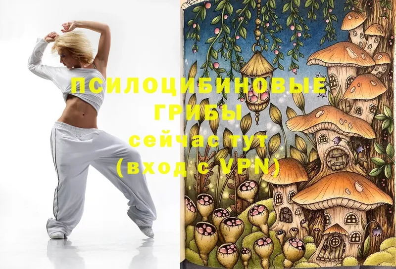 Галлюциногенные грибы MAGIC MUSHROOMS  как найти закладки  Чусовой 